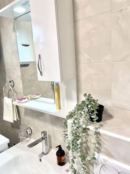 Apartman Dolcerosa Kotor Exteriör bild