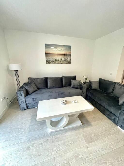 Apartman Dolcerosa Kotor Exteriör bild