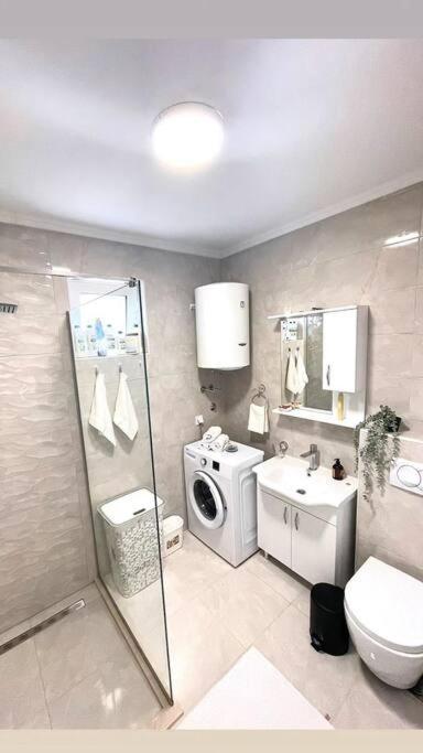 Apartman Dolcerosa Kotor Exteriör bild