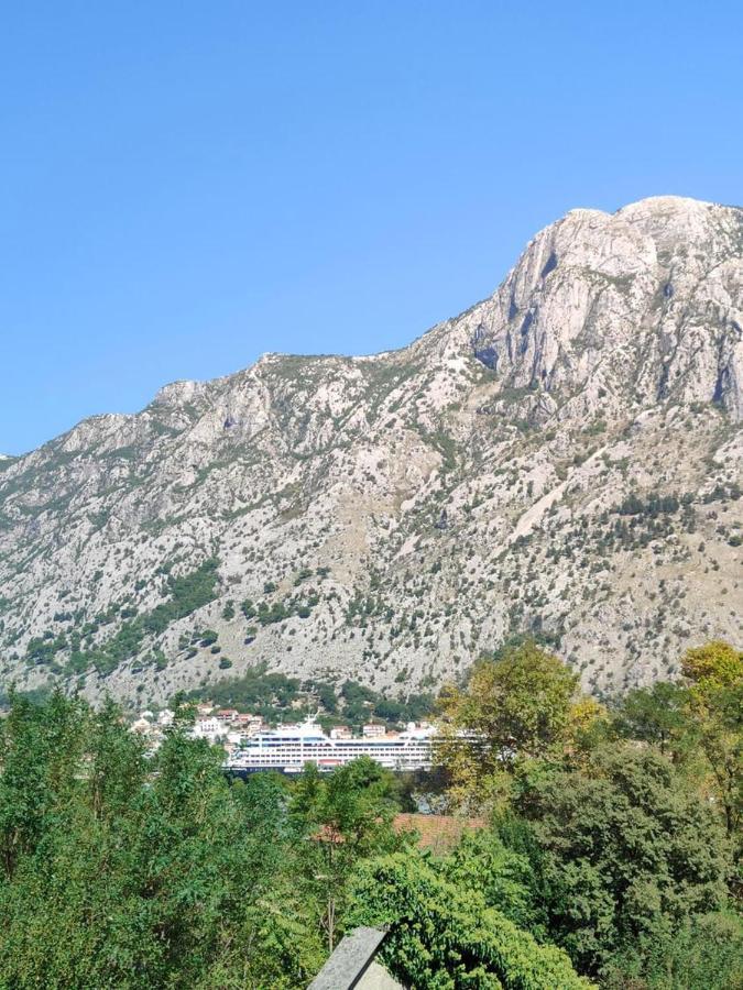 Apartman Dolcerosa Kotor Exteriör bild