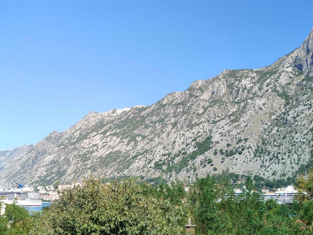 Apartman Dolcerosa Kotor Exteriör bild