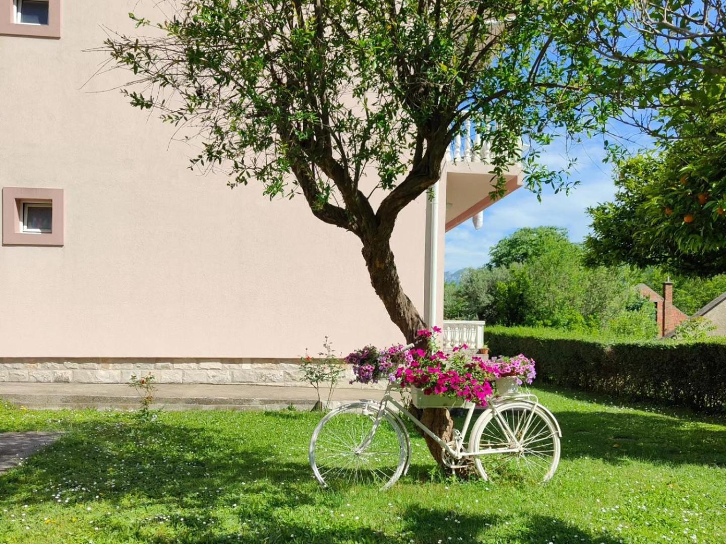 Apartman Dolcerosa Kotor Exteriör bild